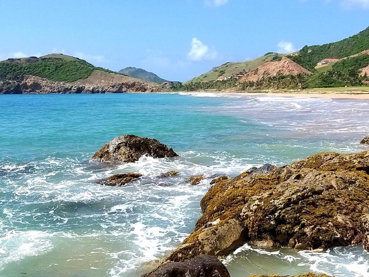 Studio 1 - Grande Anse - 4 Pers - Proche Bourg Тер-де-О Экстерьер фото