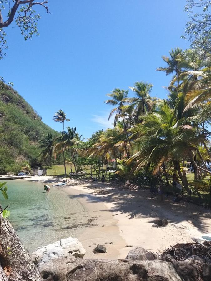Studio 1 - Grande Anse - 4 Pers - Proche Bourg Тер-де-О Экстерьер фото